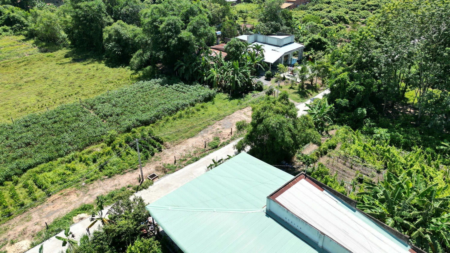 DJI_0126