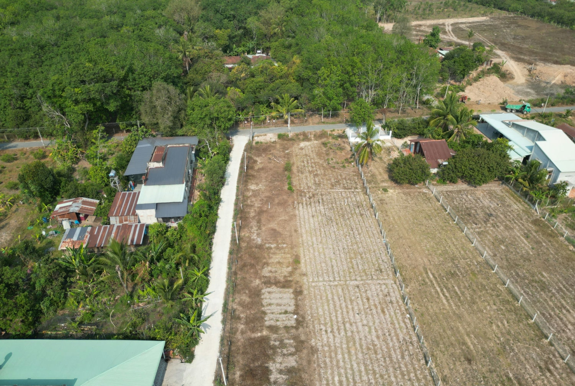 DJI_0419(1)