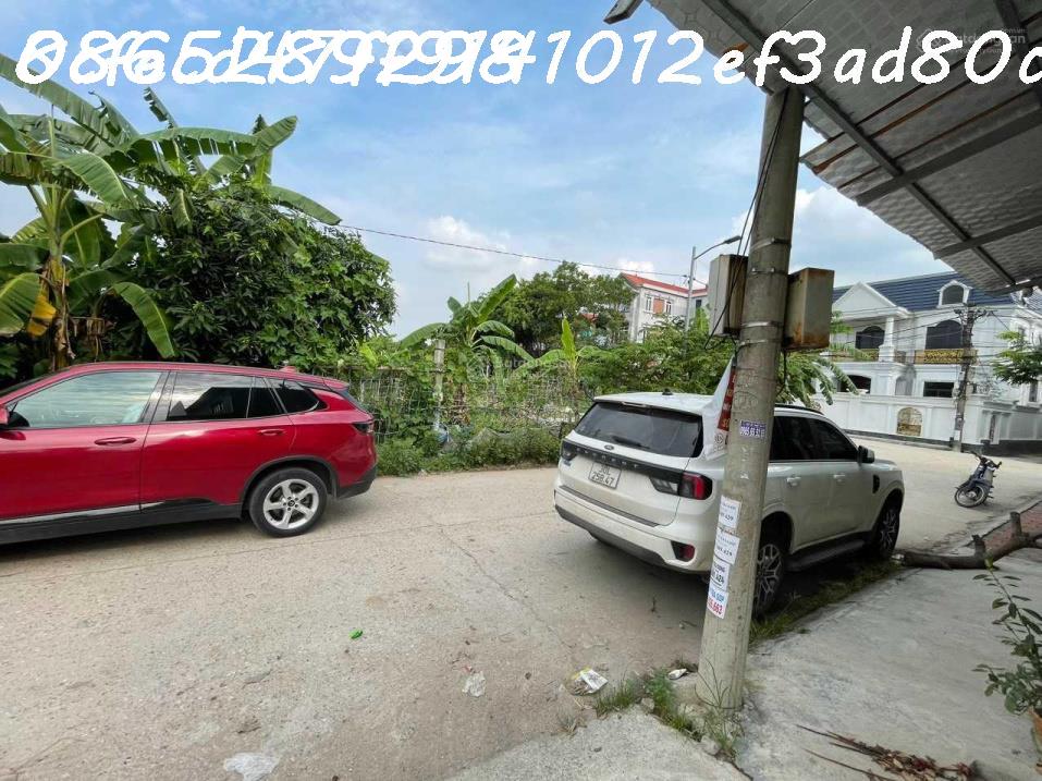 c5efabc113e5a0e394f2200bb3c74502