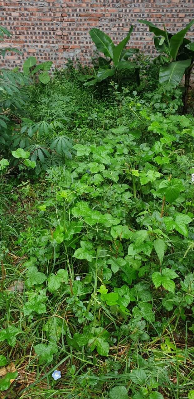 f364a4346eaca6f2ffbd