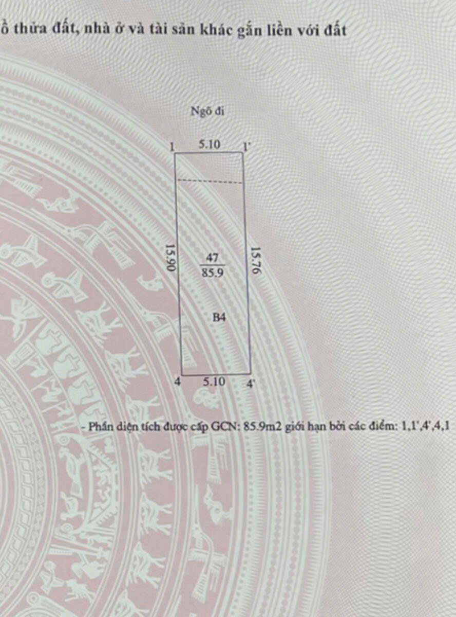 fe8d960052e0f4beadf155