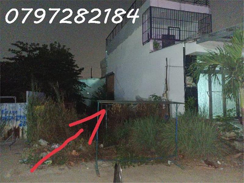 scaled_IMG_20230505_210337 (1)