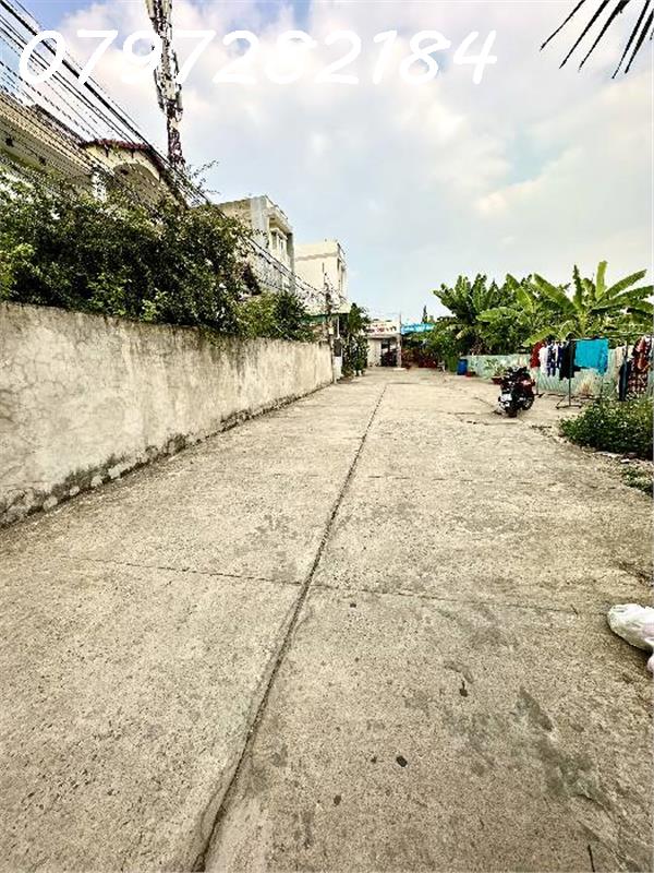 scaled_IMG_20230505_210345