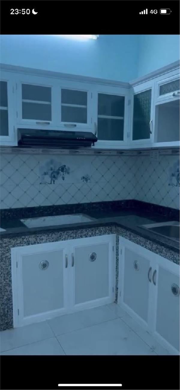 ytr-A786940E-lyct4z38_19_lyct4zi8