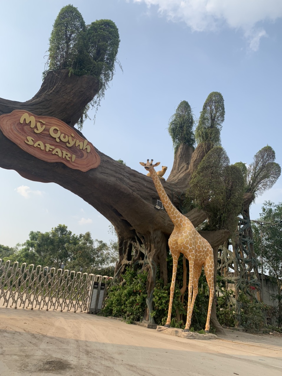 z2383369673319_a73edb85c3c89e9fed1e859cfb8dda15