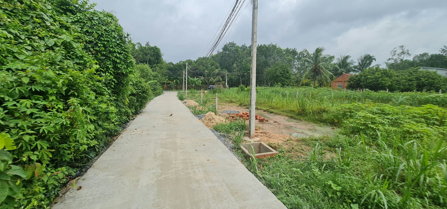 z3583080904787_a66921e7fa67664b24aa9a15dd1a9888