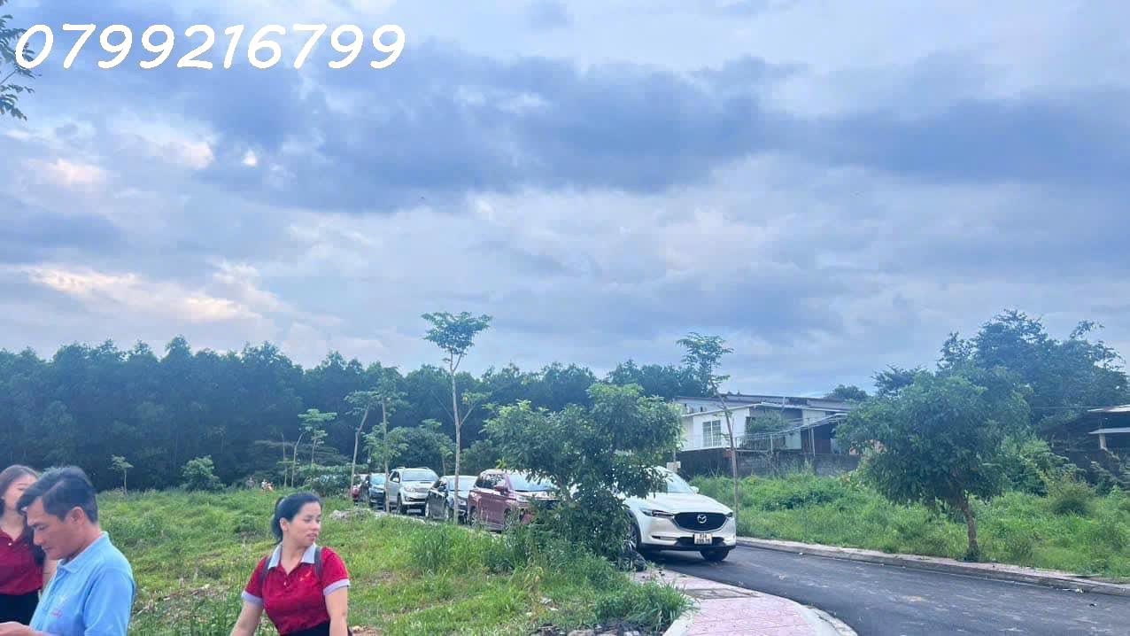 z4938555138442_928ddcec90b6f043369e4ab8a2c01a83