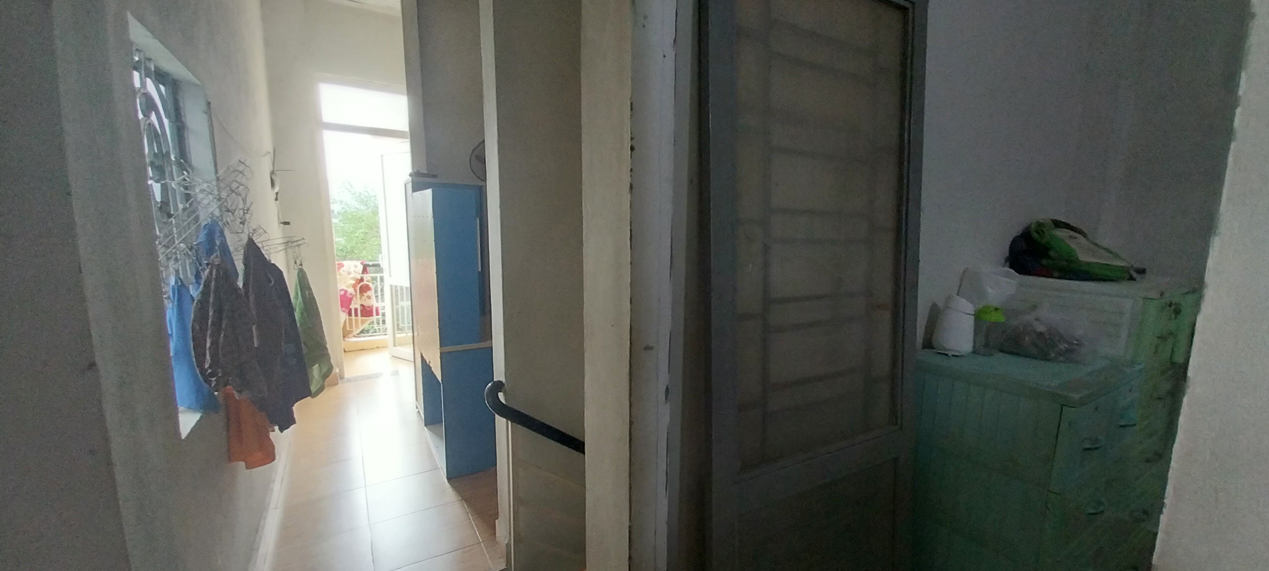 z4988834358563_ed142368812ee1edb61c0949a83c3764