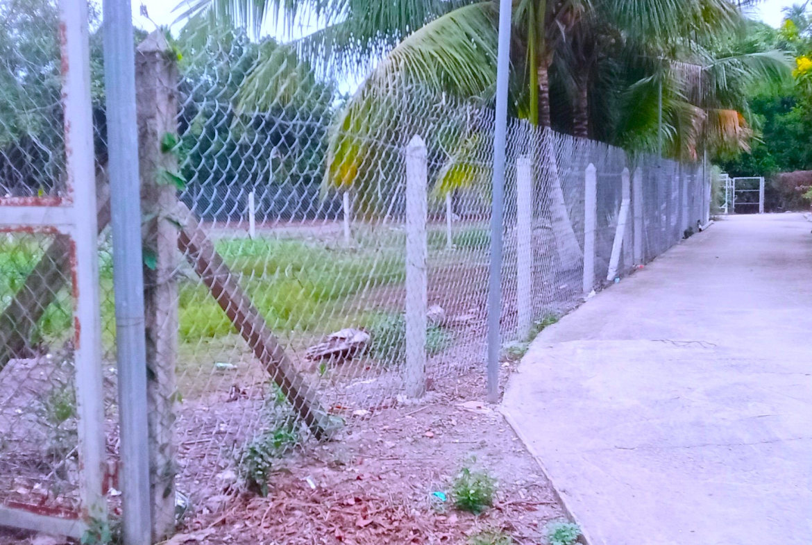 z5207939374244_05e43492396195a9f194b63018cf7267