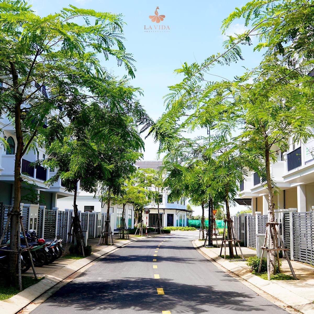 z5288284489098_cc46bcea123a72d54bb790cc8ddfb777