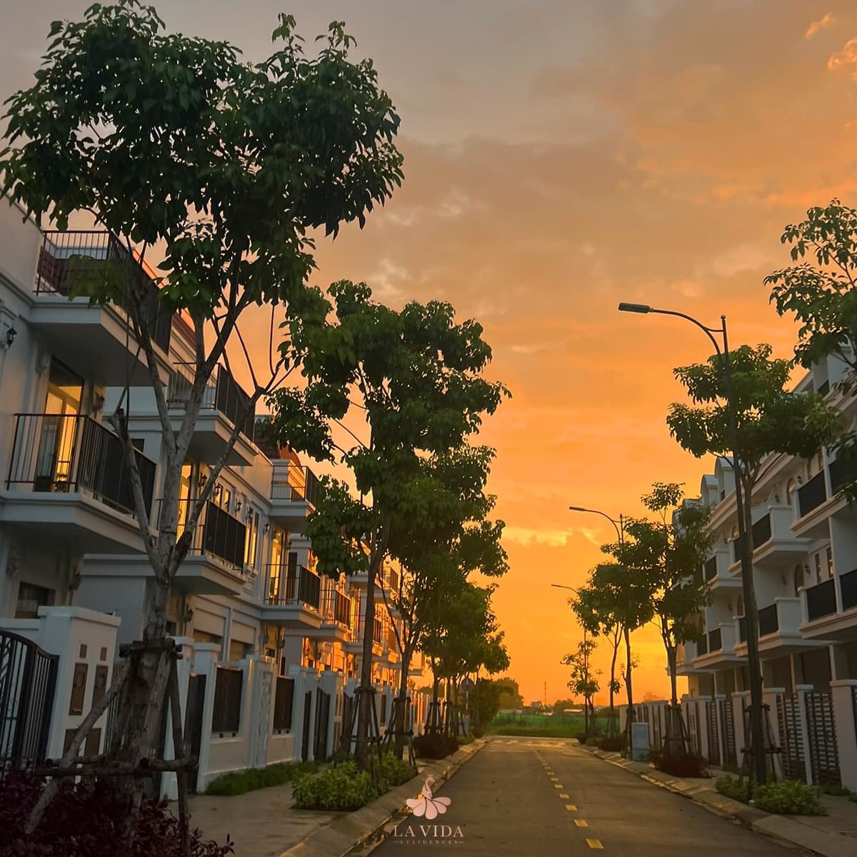 z5288284521224_585b1649e766624f55825bd9db450713