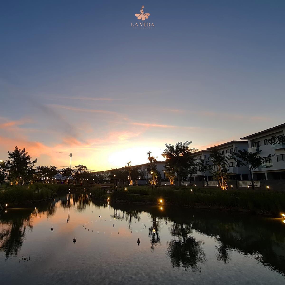 z5288284544651_839d7ba32bba55120db1b46e9c90df0e