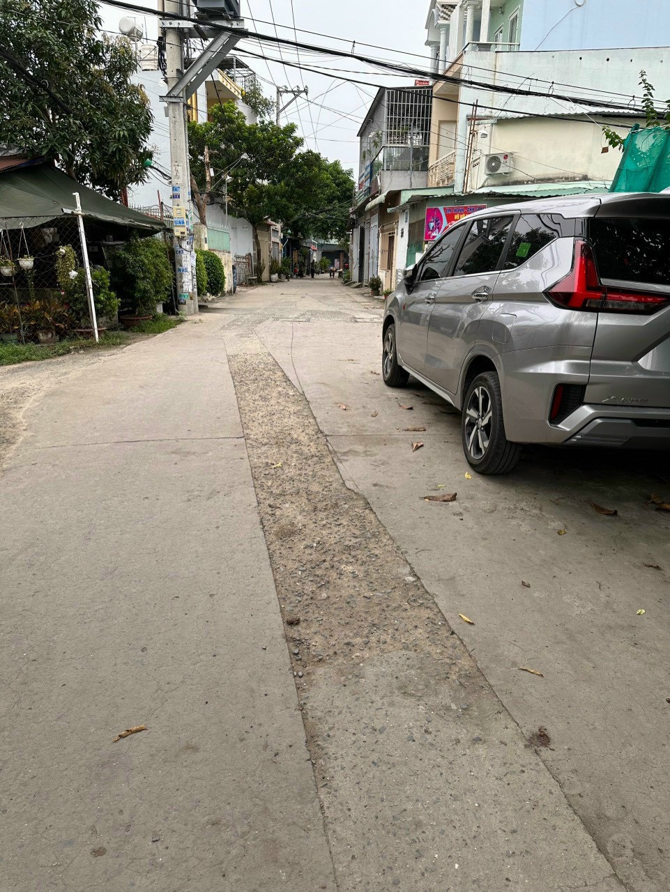 z5433108799846_c773b2741b7c82a3f133b738aa5e9243