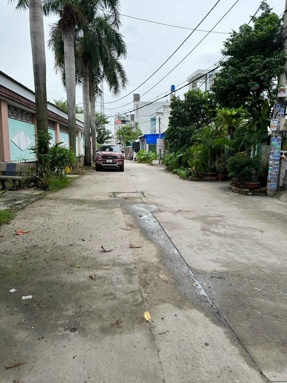 z5433108801759_ee2e405d9066d3ce9d4a2707635895af