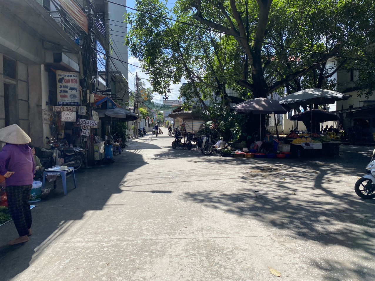 z5603023685498_bb06cf09ff98246a8578d3ee8a54ef0c