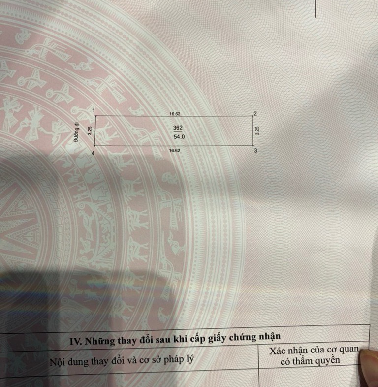 z5662571136107_78803e3d2169adf47f734cf37ece5ed1