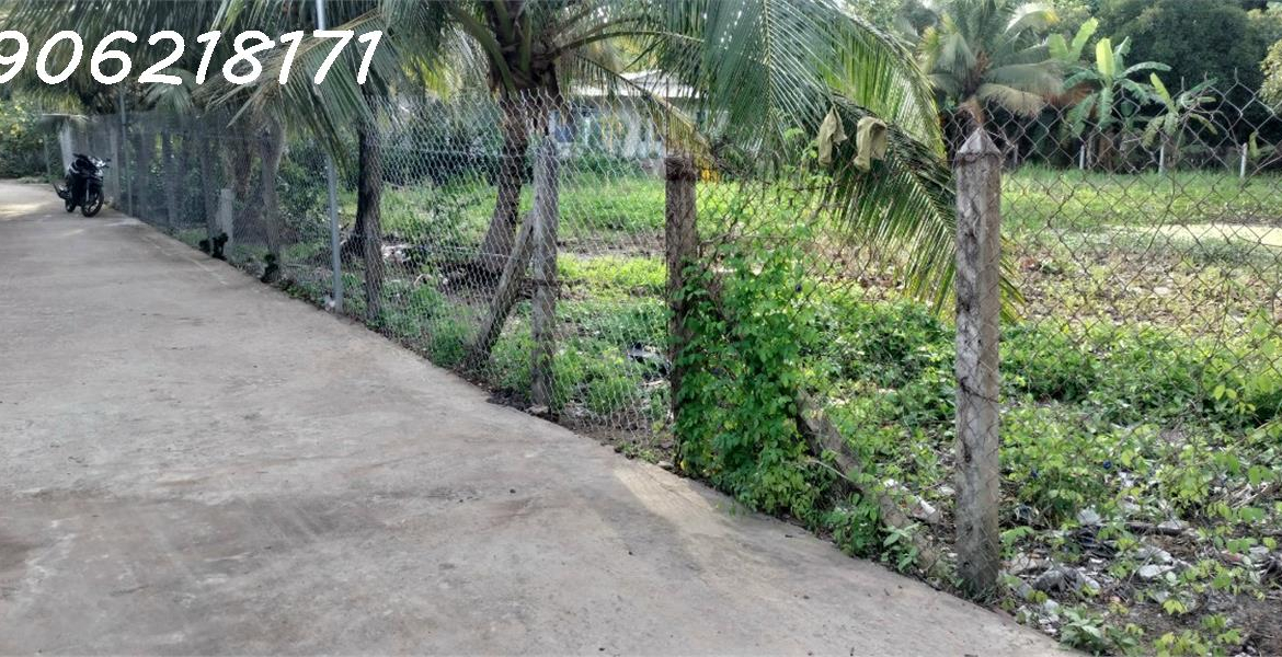 z5693989283895_6597069505e1ec33237c1545e2f67da0.jpg_bak_638584566969360267