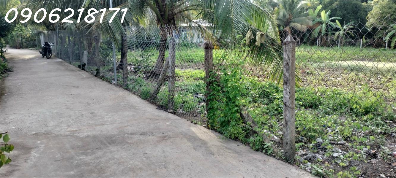 z5693989283895_6597069505e1ec33237c1545e2f67da0.jpg_bak_638584566969360267