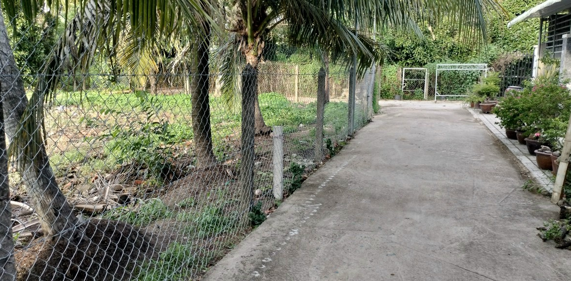 z5693989283897_0824a28084d47fdd60d62a6fbe74f9b5