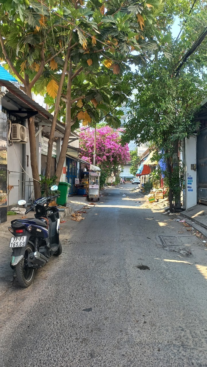 z5724949805309_f812c5d8cd7cbfac913dc028827a0d74