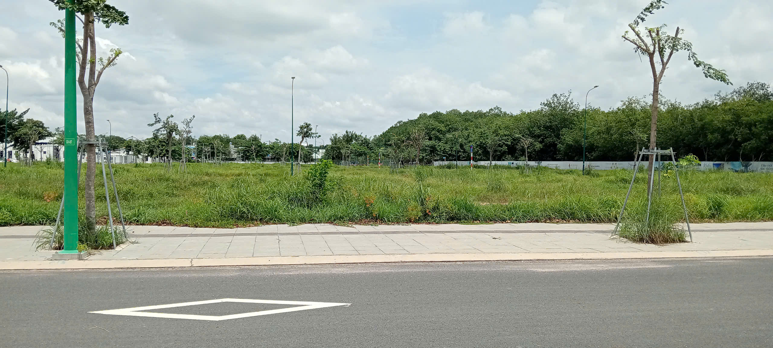 z5785422249483_ed7e0cdd2558f9ad3b7d8ce8d139768b