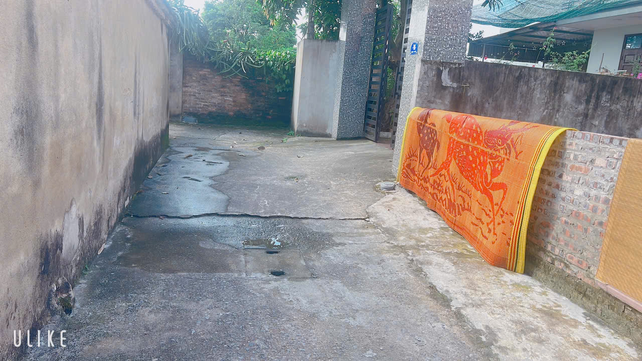 z5790231516377_8d01c1293e163473ecd7a6b6cc49a2fd