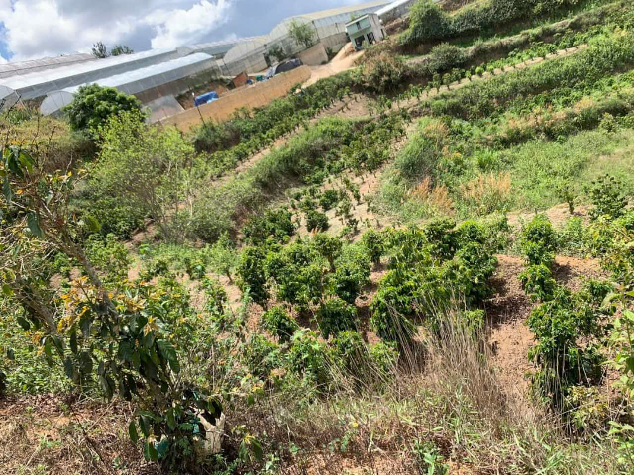 z5792014291291_2af19c4d46ebf93cdda5c93ded41d09f