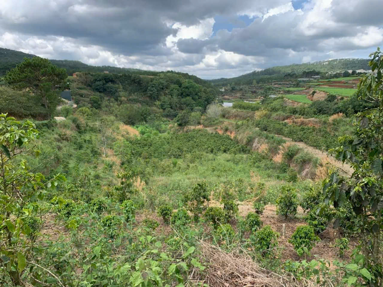 z5792014291293_8c31c0794e6702fc6d5100e1ecb18b56