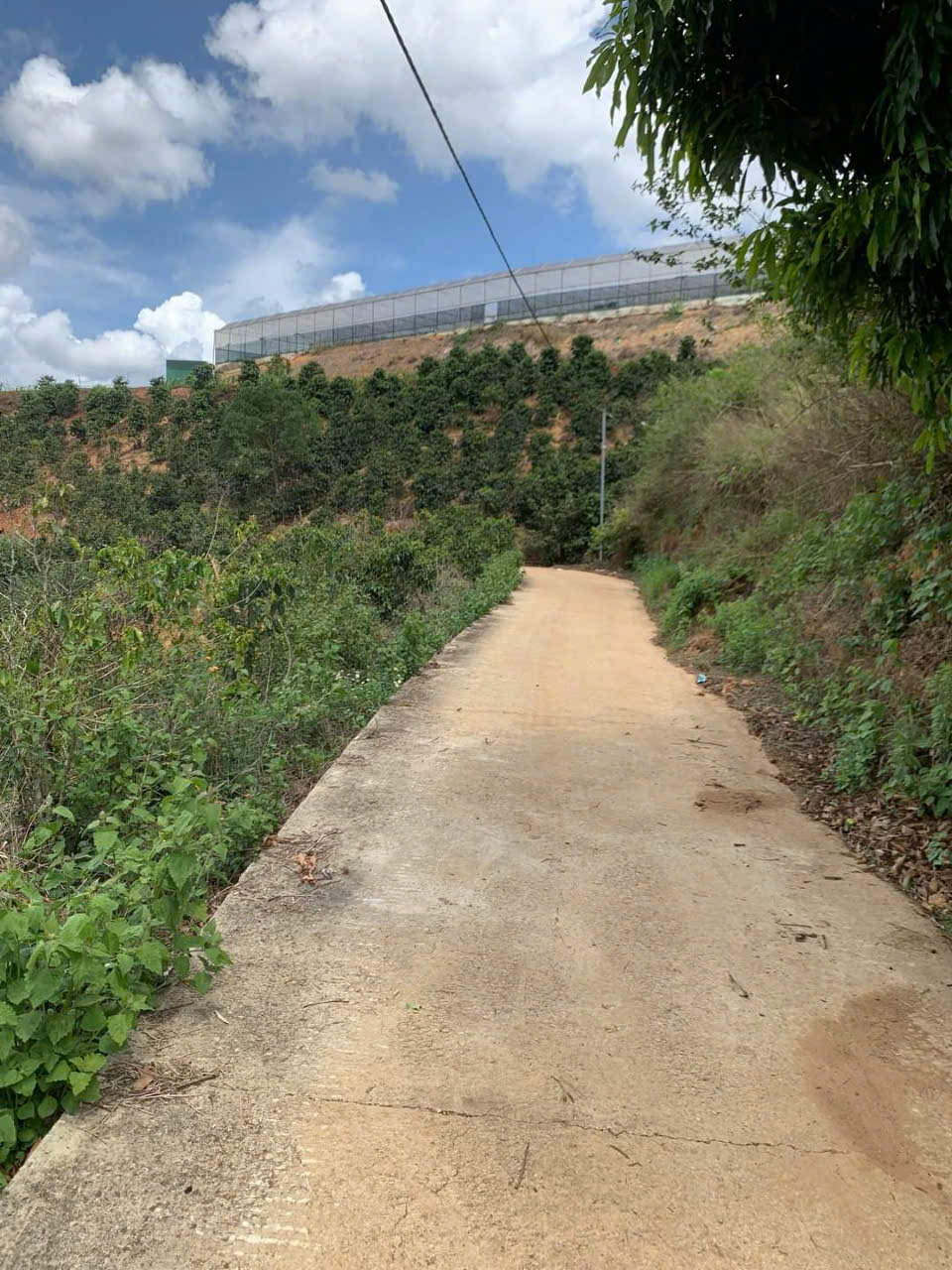 z5792014292069_f51ba4aec0ff01f907757799039202b9