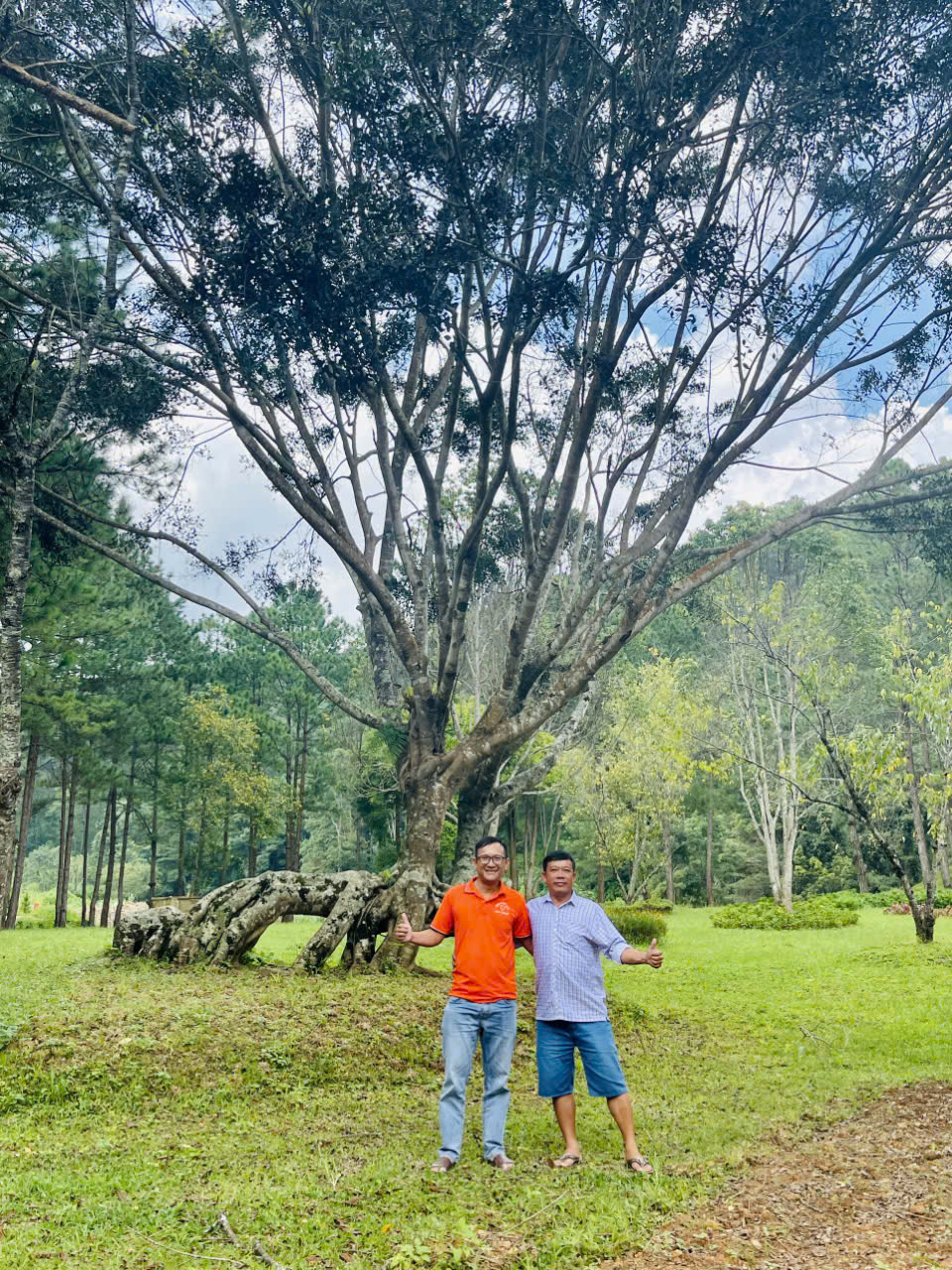 z5792014292272_bb0f1305dad05e923f13a7e3f305f763