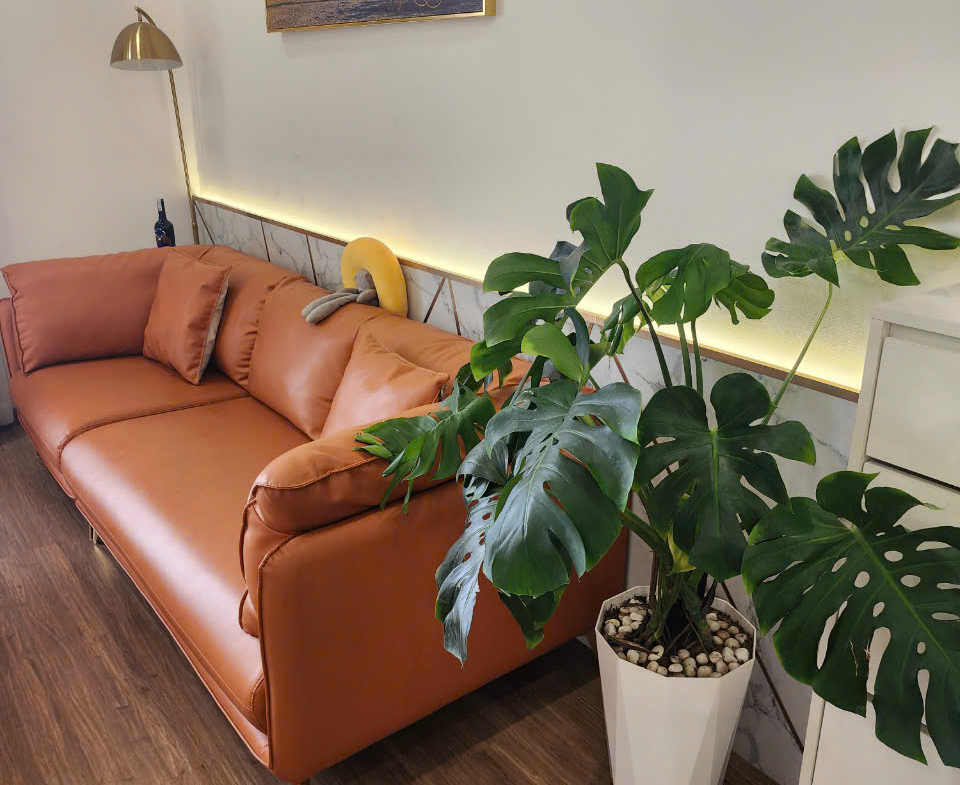 z5794759026011_e90caf26cd098fa9bd8f79cec53ba11f