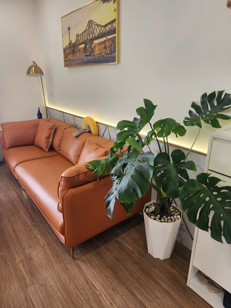 z5794759026011_e90caf26cd098fa9bd8f79cec53ba11f