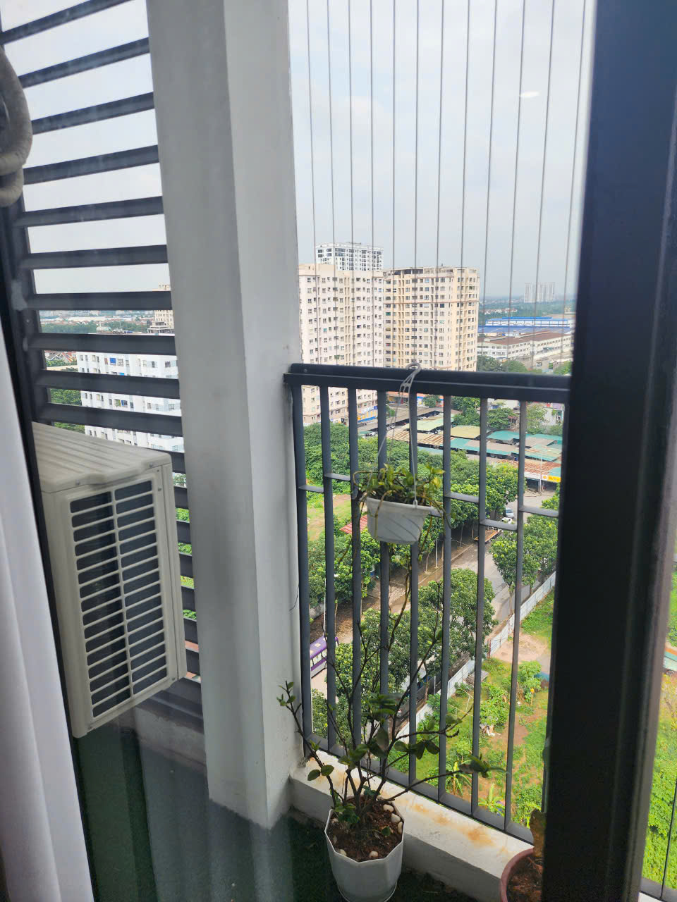 z5794759205436_5f99d32e5c94ceb82804efdb8ecb8ede