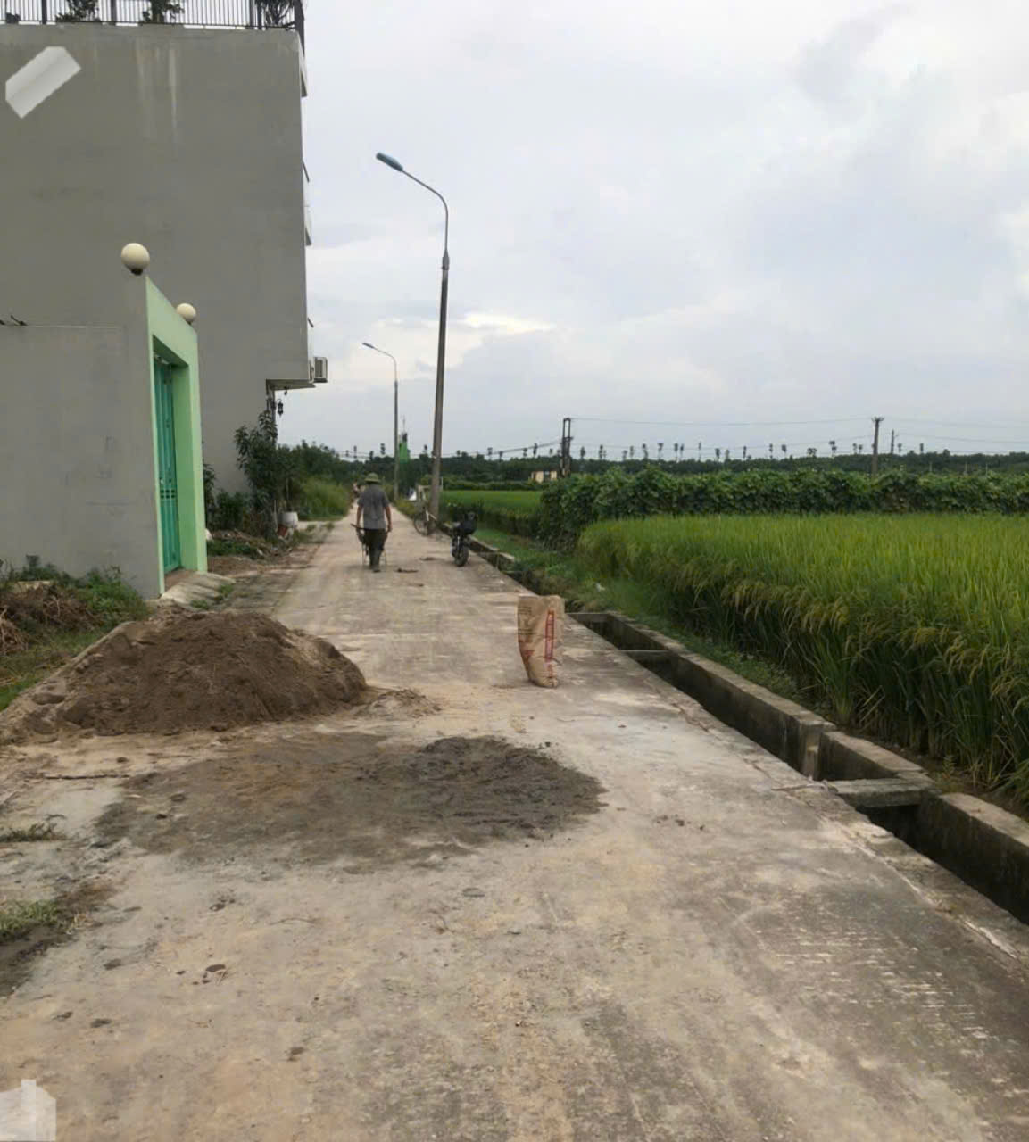 z5795165300161_49e1a297d62af0c8ebed0d518b6cdc36