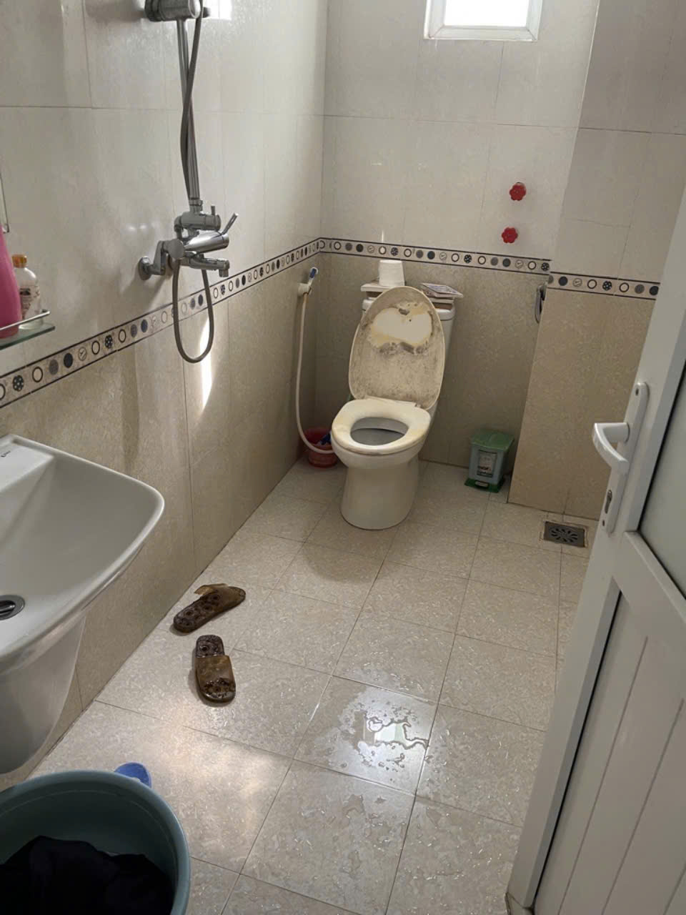 z5796484729995_8705405f8d40dab8ca69d43fd0e32a9b