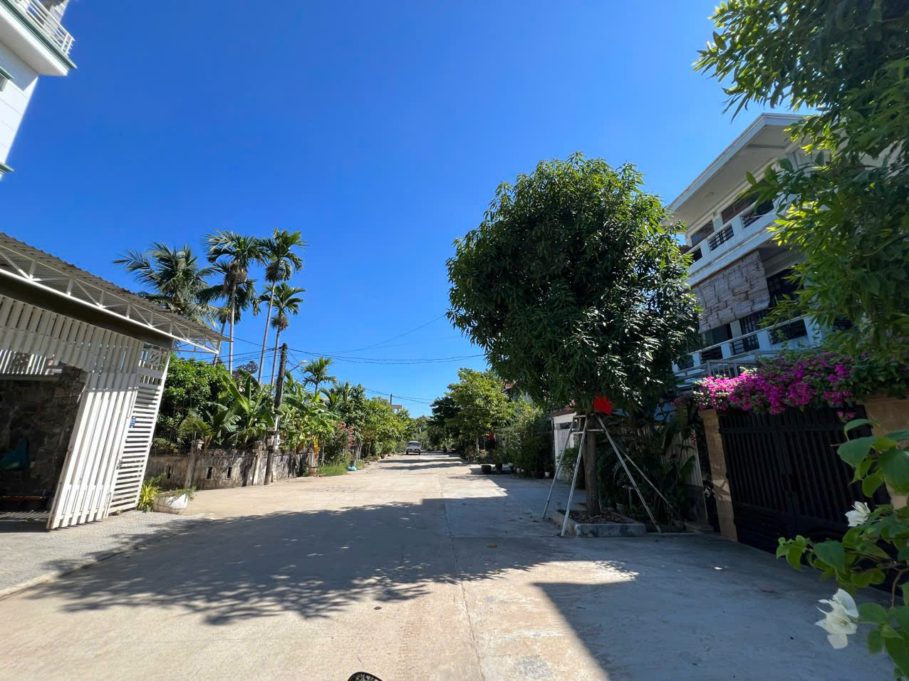 z5797659990571_0b920f4dcf0034143802cdadc6eda8d4