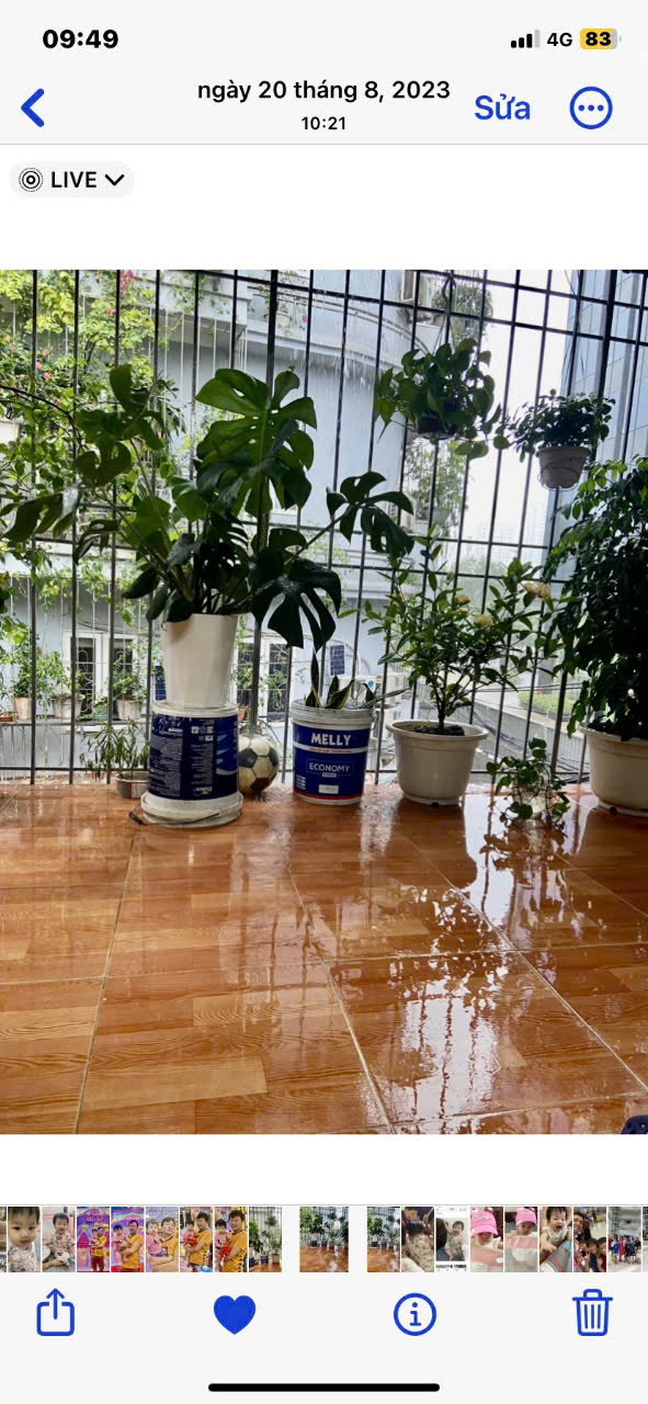 z5798638610978_097658c8b079a1d9b6daf749c86a4b04