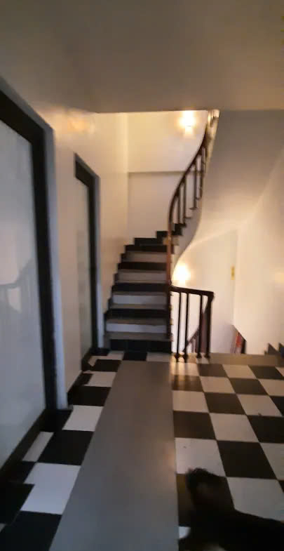 z5802368613936_3696c188ca57d25c2eef52b7c629151e