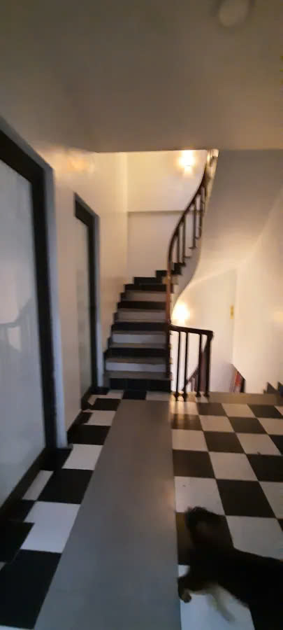 z5802368613936_3696c188ca57d25c2eef52b7c629151e