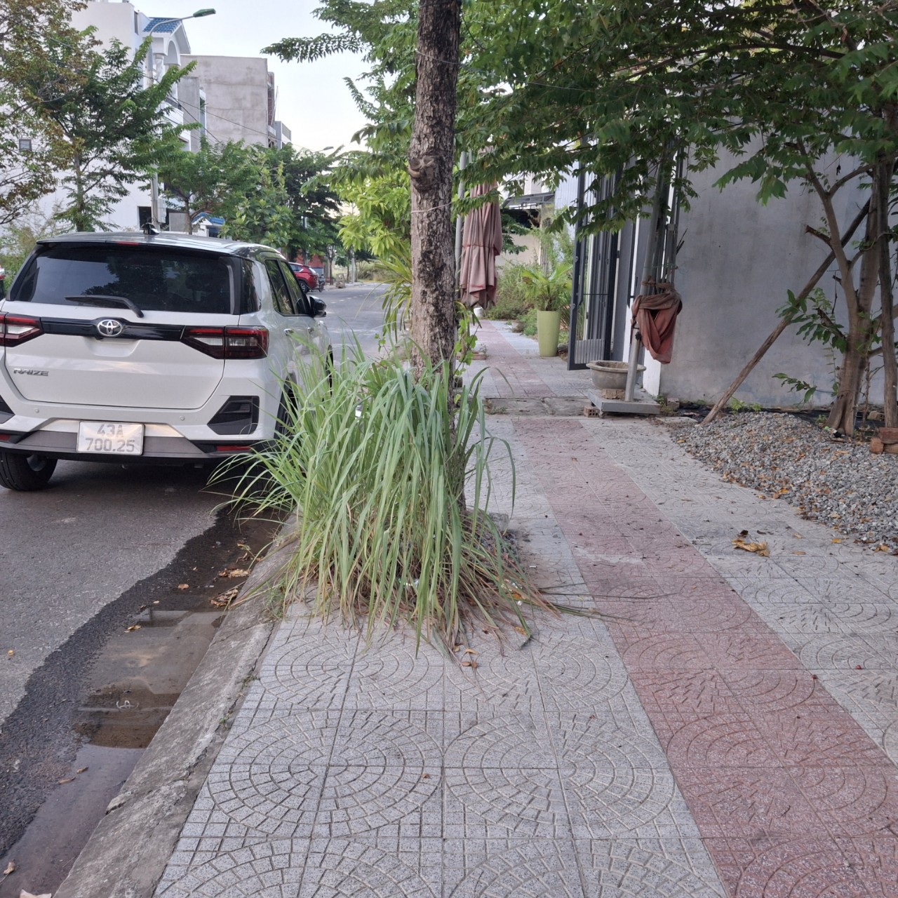 z5802707269314_c713c46835e143cfe2607cdb27bd9333