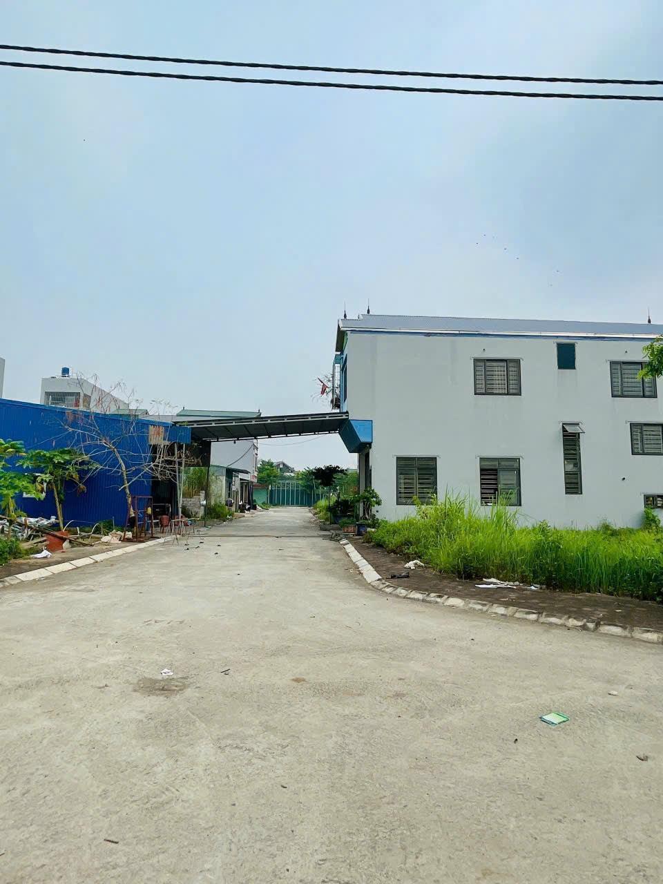 z5804040372694_a7df685dfc316c622516bebe1e514771