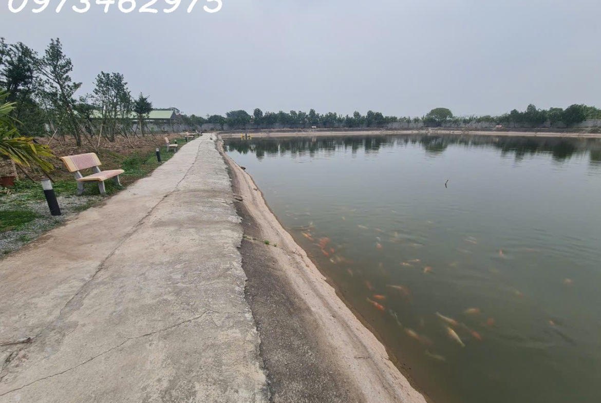 z5805532231102_d2f3cc114d9f9b610074eeca766f4cc4