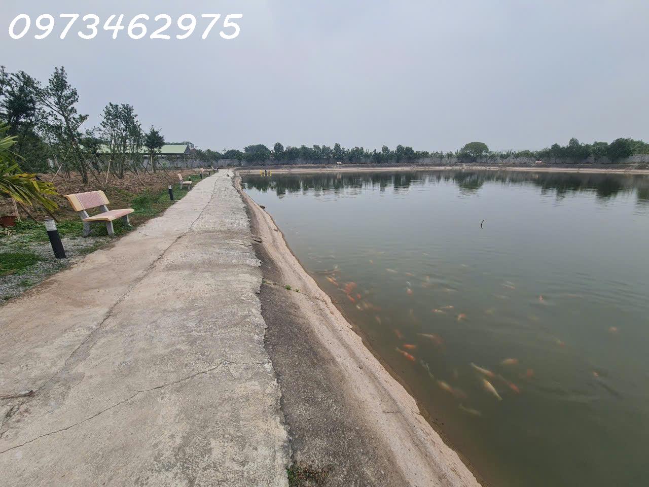 z5805532231102_d2f3cc114d9f9b610074eeca766f4cc4