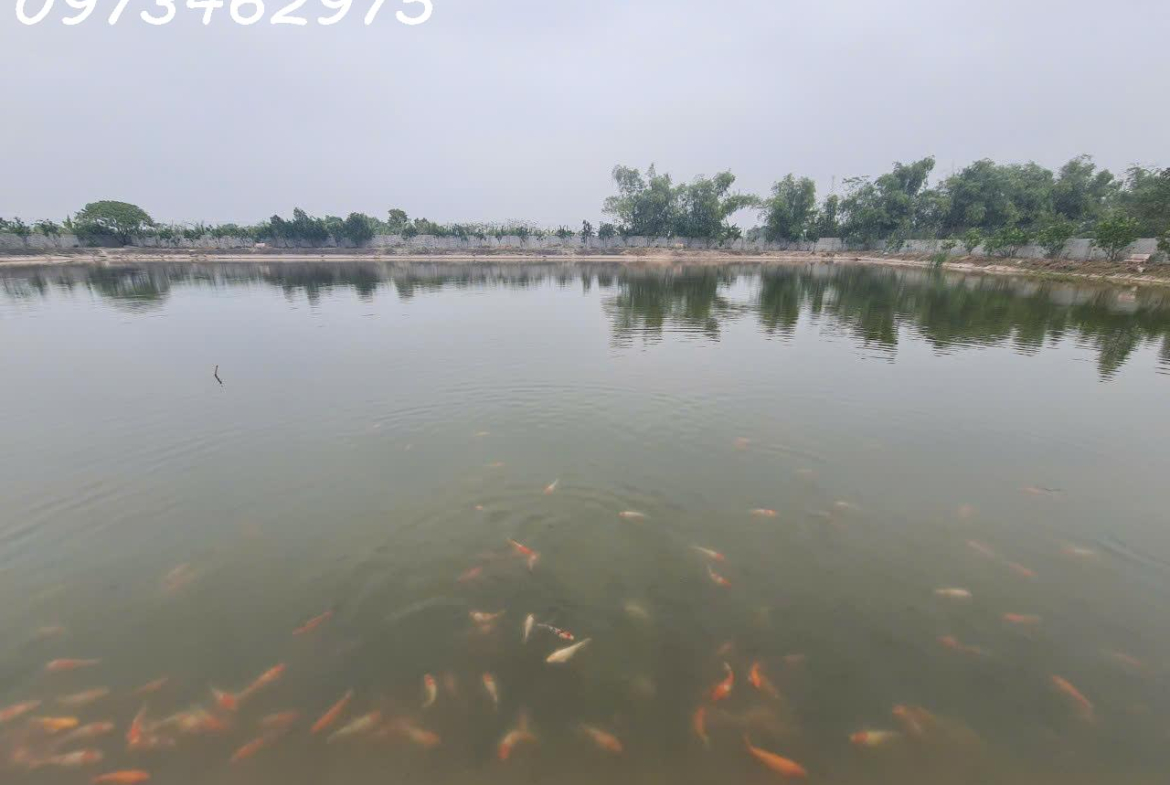 z5805532231329_33aadcad144c47a8eb019db234dada1f