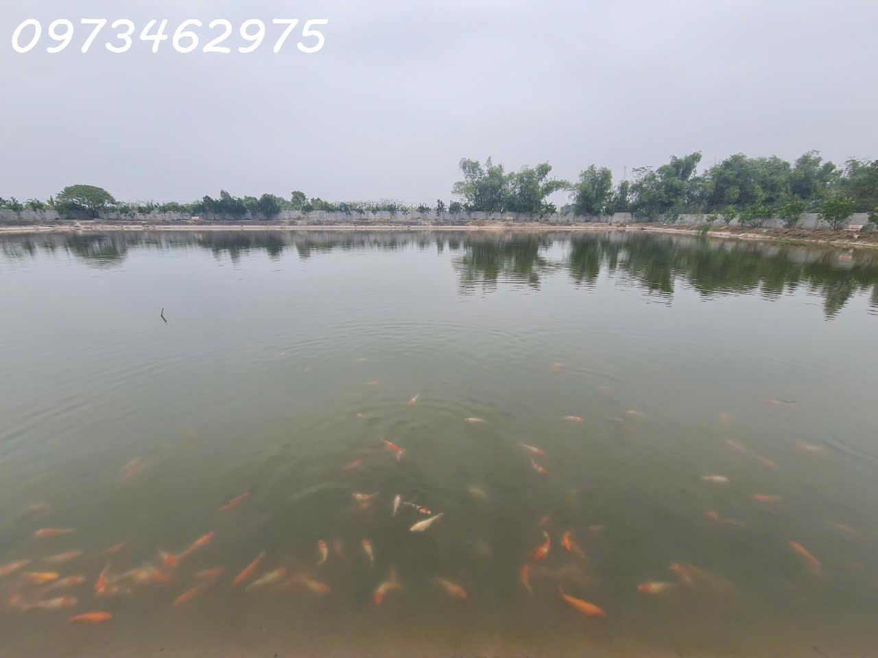 z5805532231329_33aadcad144c47a8eb019db234dada1f