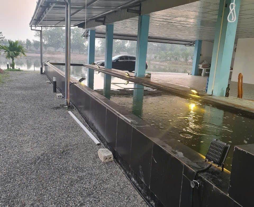 z5805580324733_443a58042defb34f5ca20b2486aaf612