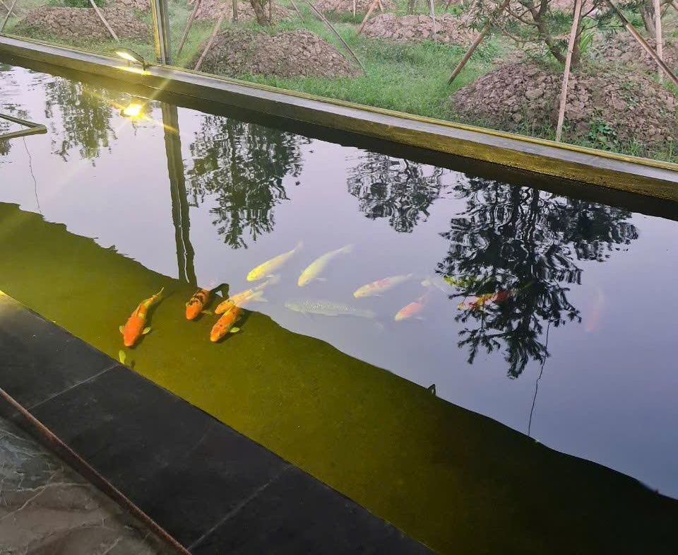 z5805580333307_fef2ad283468e22103be8c5ecddd9ab6