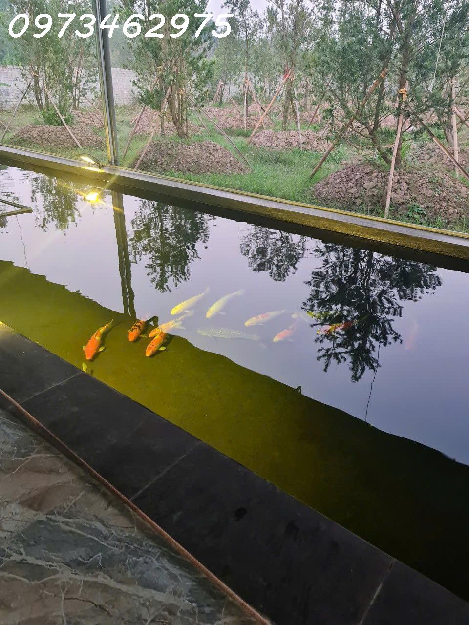 z5805580333307_fef2ad283468e22103be8c5ecddd9ab6