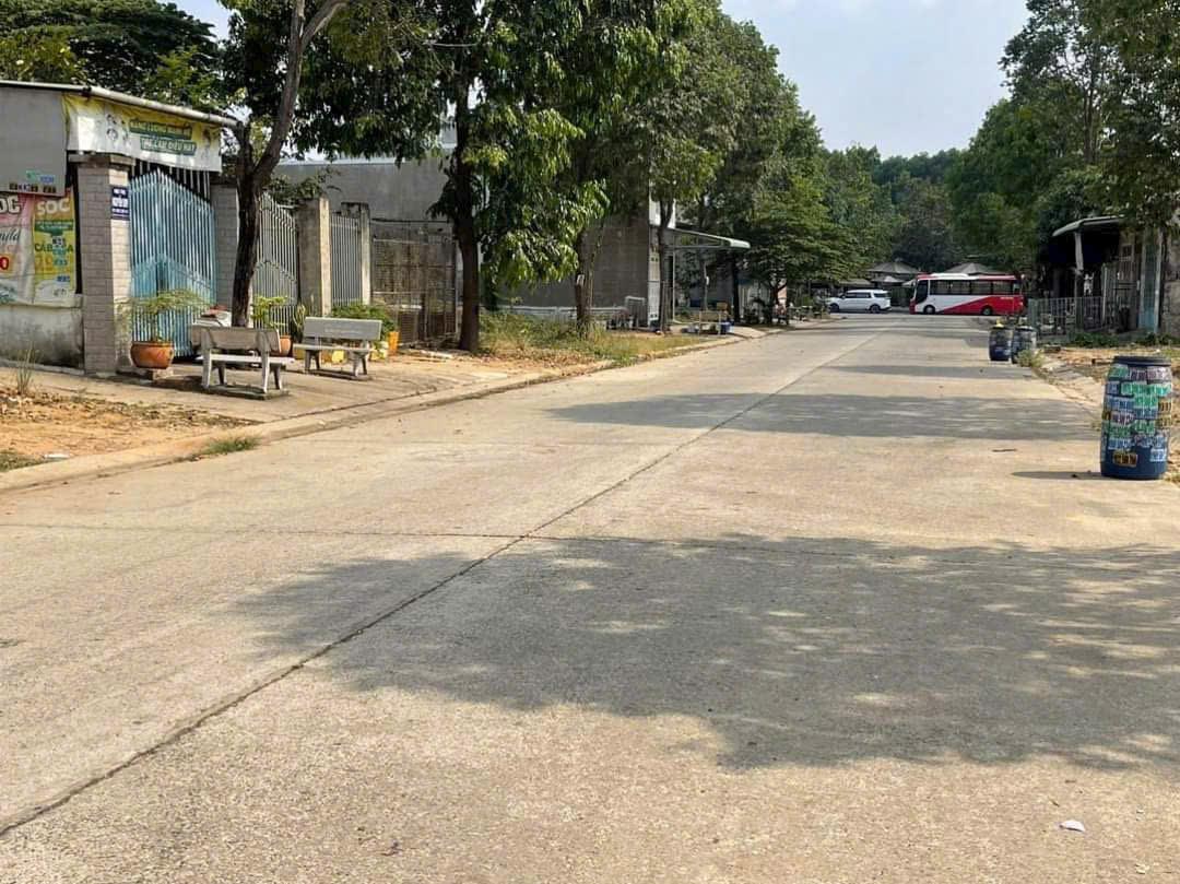 z5805871645009_f99196bd1481ac0a0ef99cd265542245