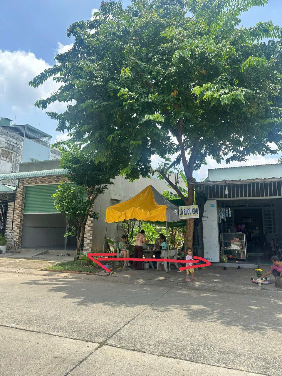 z5805871651868_0055a6e627a85bcadf378356d0eea45e